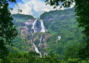 The 7 Best Waterfalls In India You Can&#8217;t-Miss In 2025!